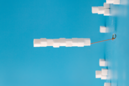 Aspartame in Sports Nutrition